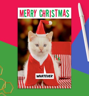 XM/Litter box